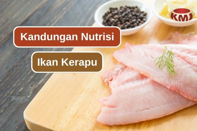 7 Kandungan Nutrisi Penting Pada Ikan Kerapu